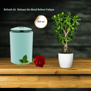 Ultimate USB Mist Air Humidifier | 260ml Portable Ultrasonic Mist Maker & Air Freshener